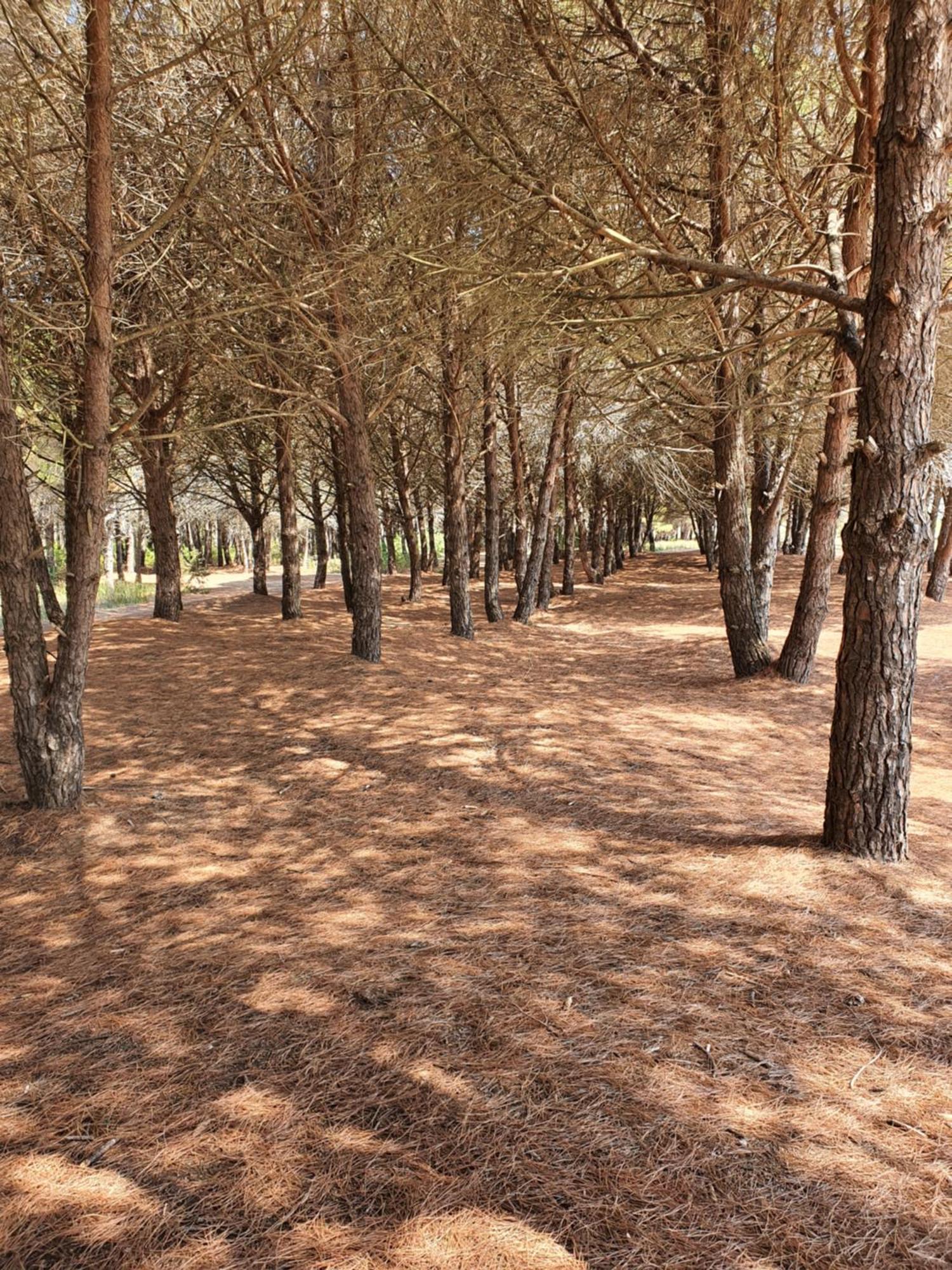 Amber Hotel Albania Spille Bagian luar foto
